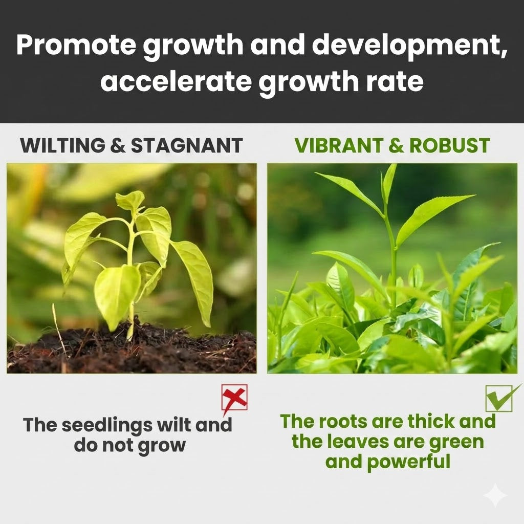 Plant Nutrient Solution