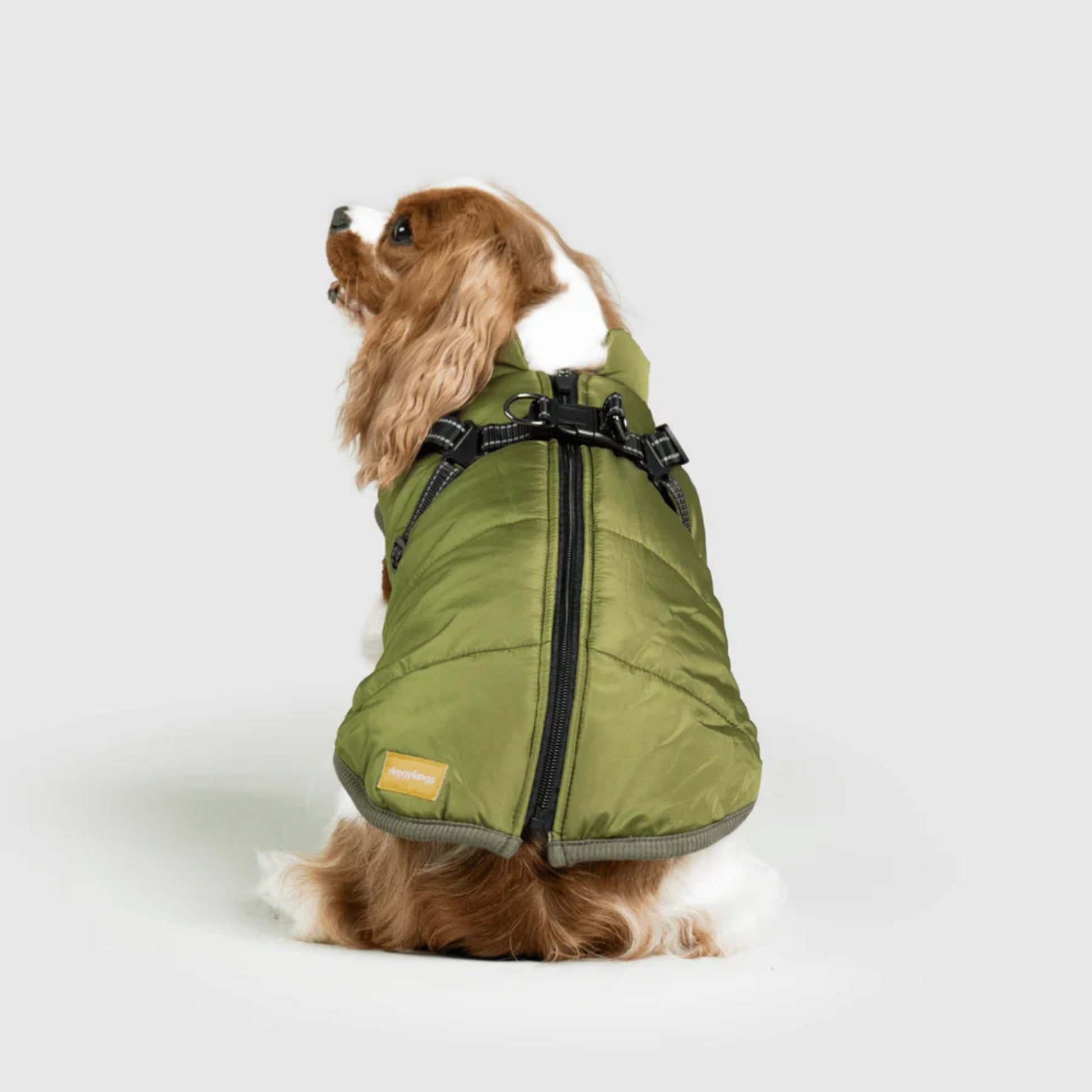 DoggyKings™ Dog Jacket with Harness - Waterproof & Warm (3-in-1 Design)