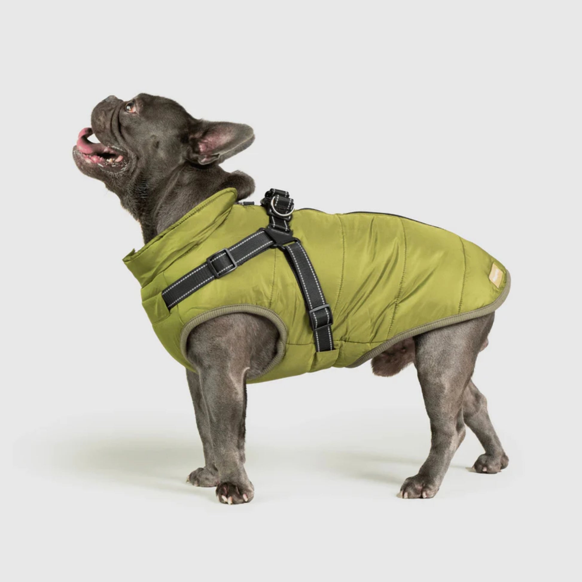 DoggyKings™ Dog Jacket with Harness - Waterproof & Warm (3-in-1 Design)