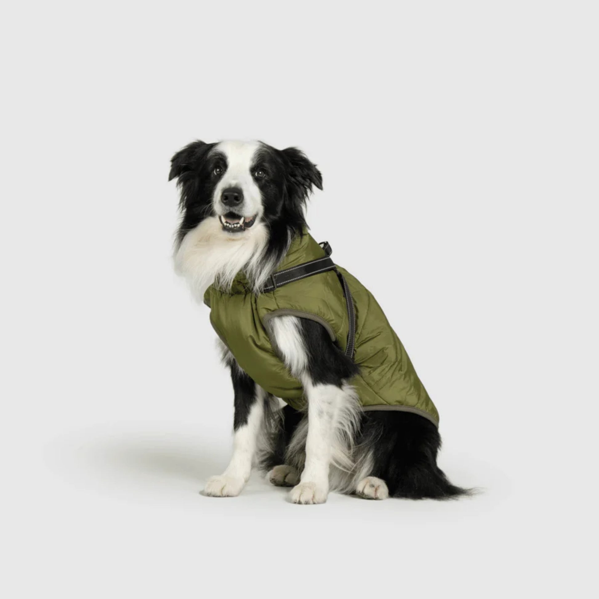 DoggyKings™ Dog Jacket with Harness - Waterproof & Warm (3-in-1 Design)