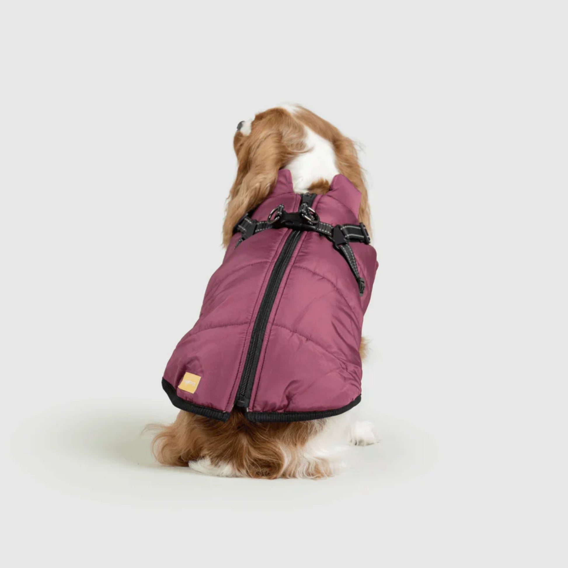 DoggyKings™ Dog Jacket with Harness - Waterproof & Warm (3-in-1 Design)