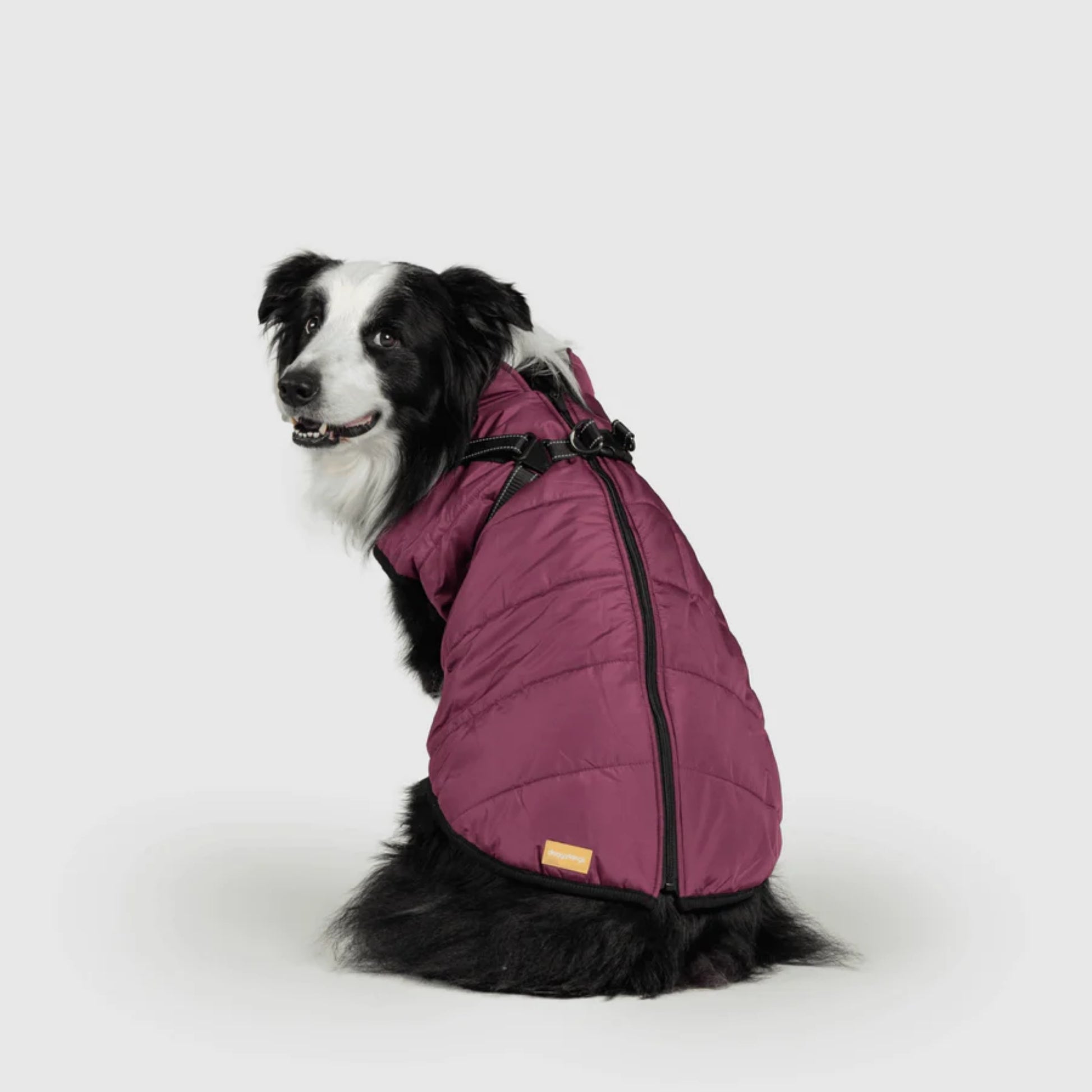 DoggyKings™ Dog Jacket with Harness - Waterproof & Warm (3-in-1 Design)