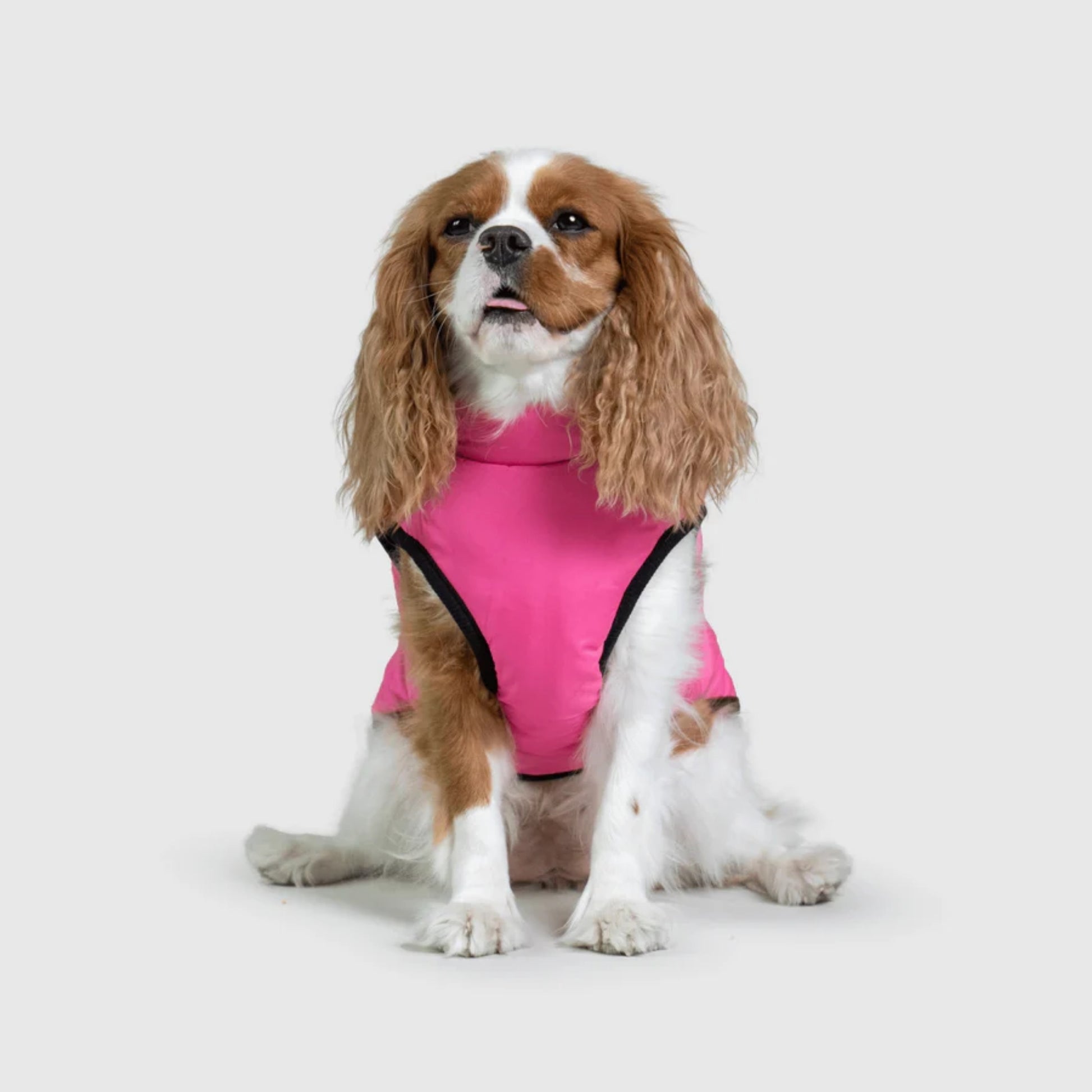 DoggyKings™ Dog Jacket with Harness - Waterproof & Warm (3-in-1 Design)