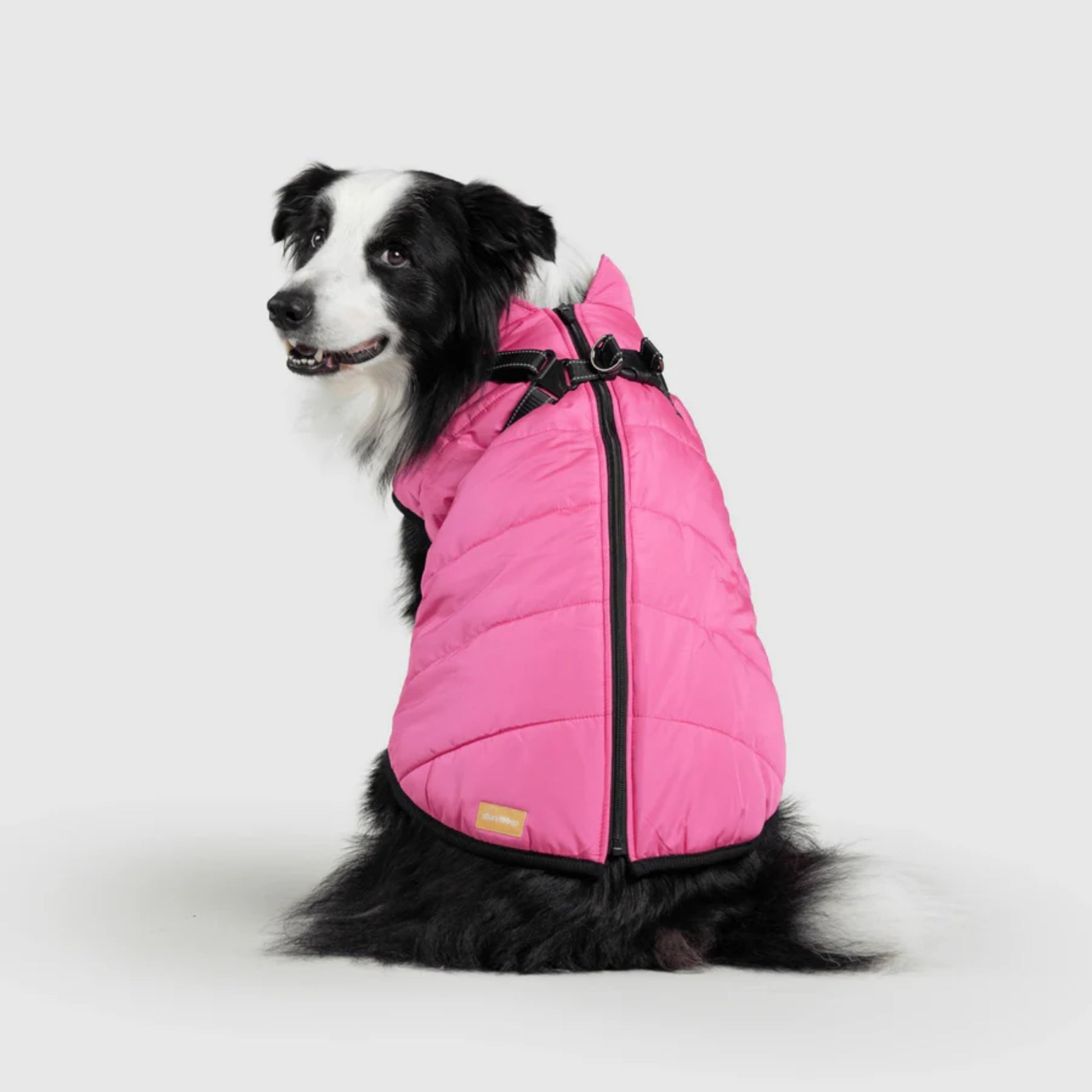 DoggyKings™ Dog Jacket with Harness - Waterproof & Warm (3-in-1 Design)