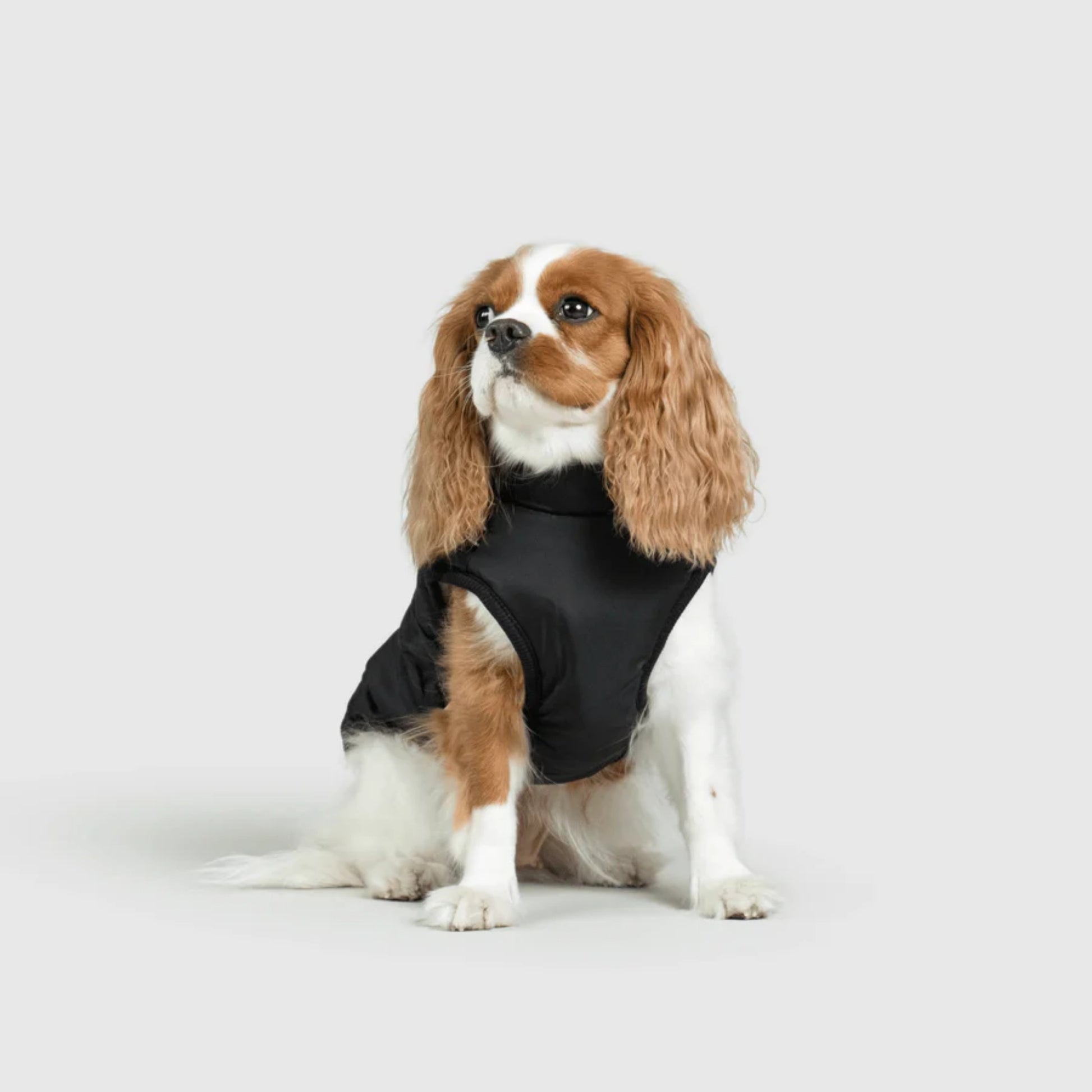 DoggyKings™ Dog Jacket with Harness - Waterproof & Warm (3-in-1 Design)