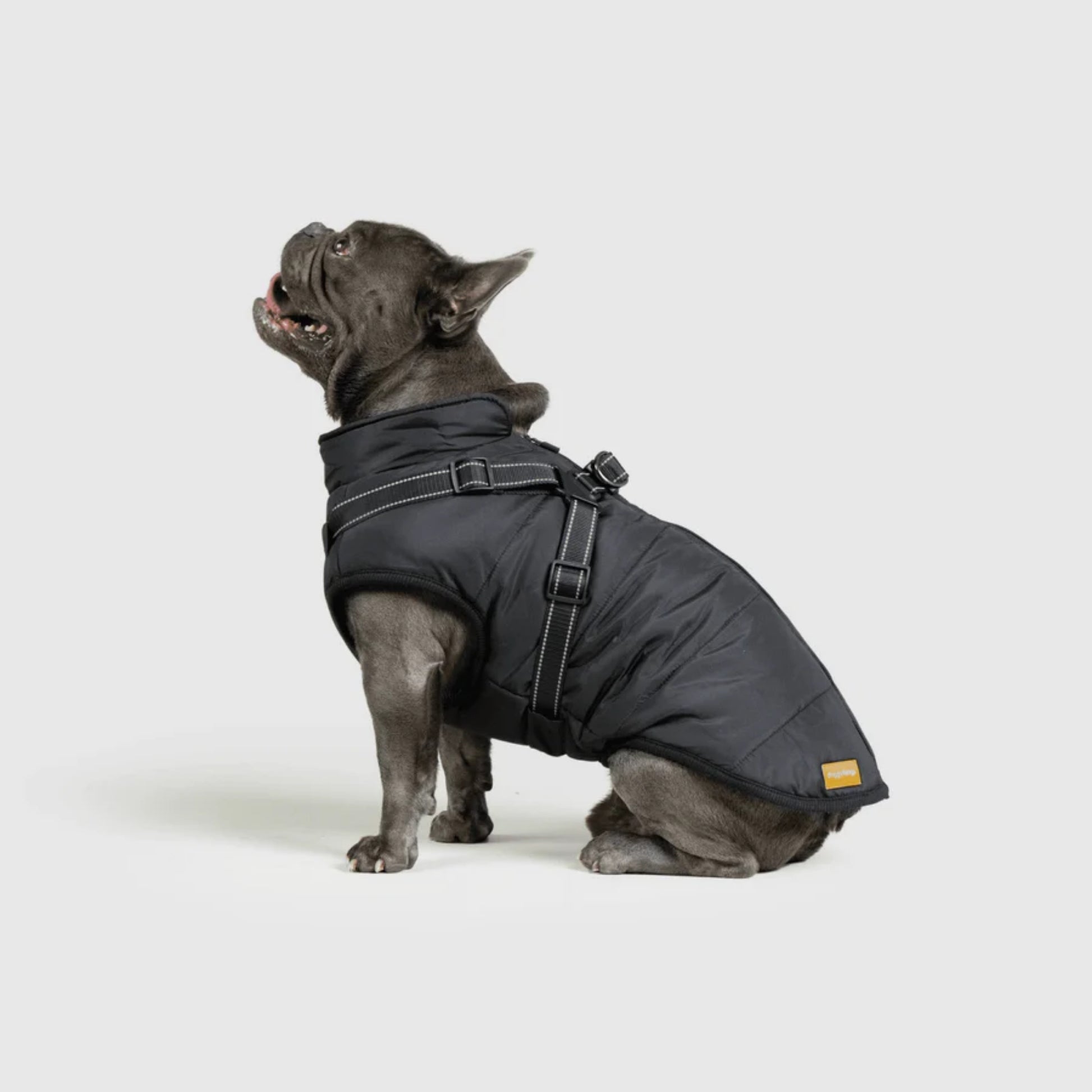 DoggyKings™ Dog Jacket with Harness - Waterproof & Warm (3-in-1 Design)