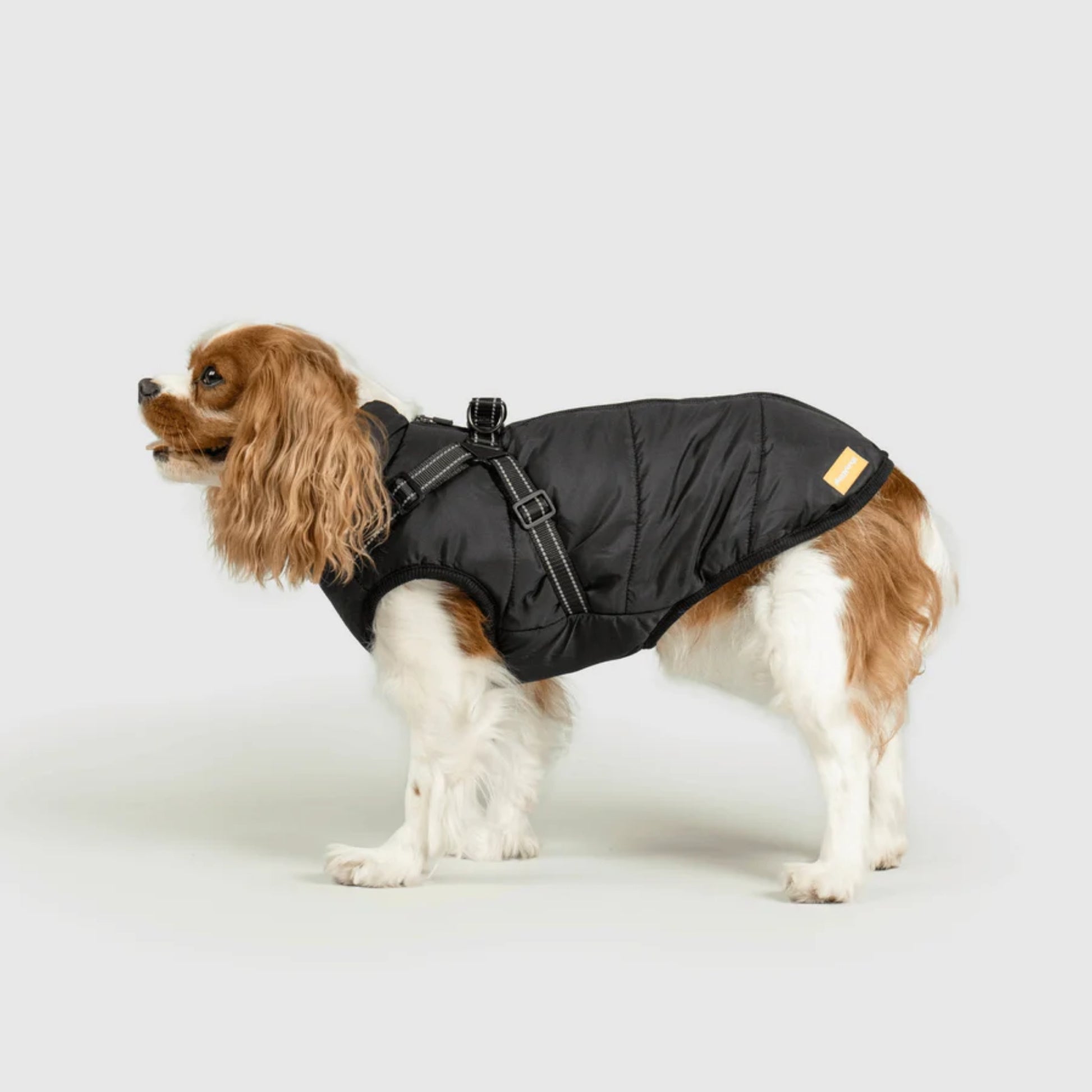 DoggyKings™ Dog Jacket with Harness - Waterproof & Warm (3-in-1 Design)