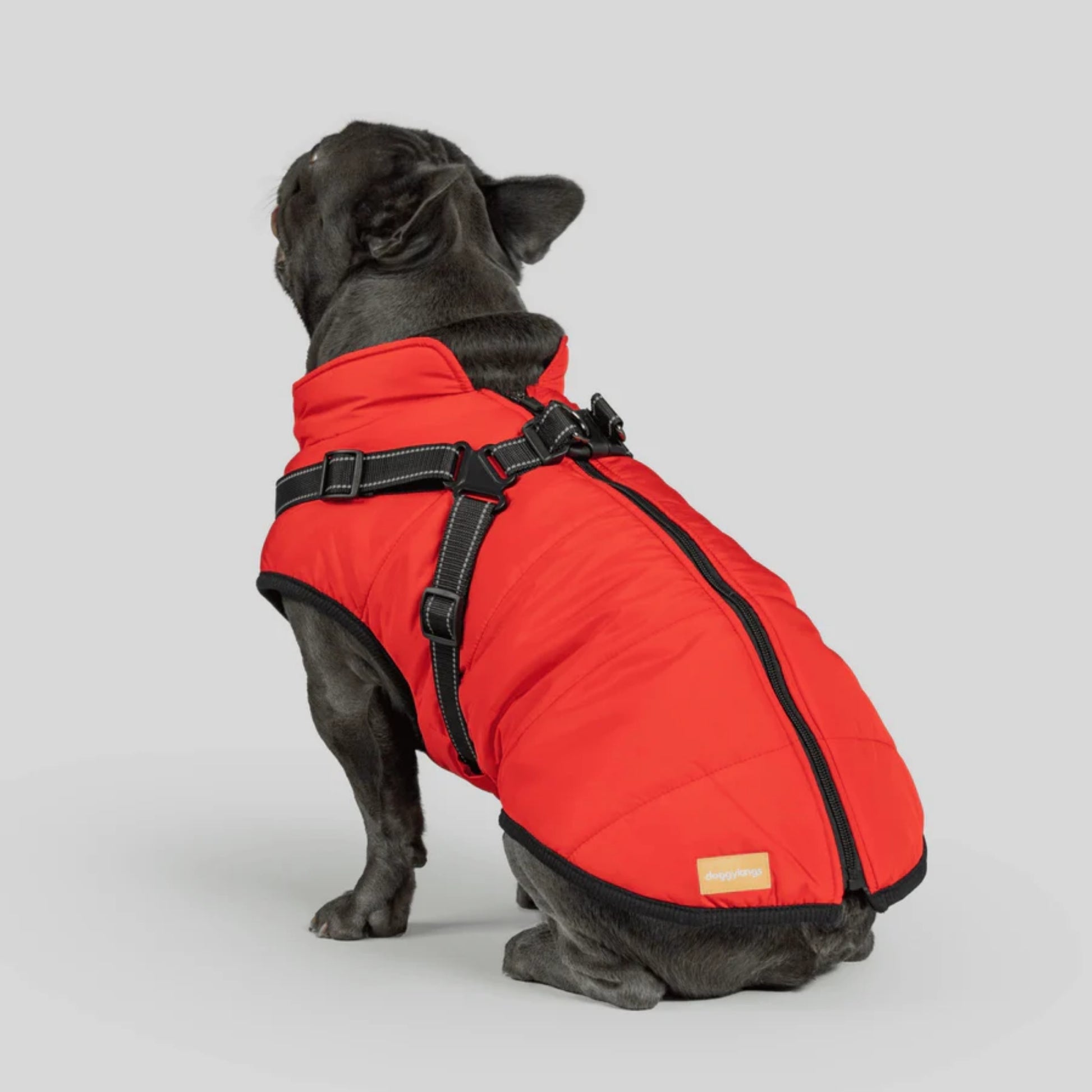 DoggyKings™ Dog Jacket with Harness - Waterproof & Warm (3-in-1 Design)