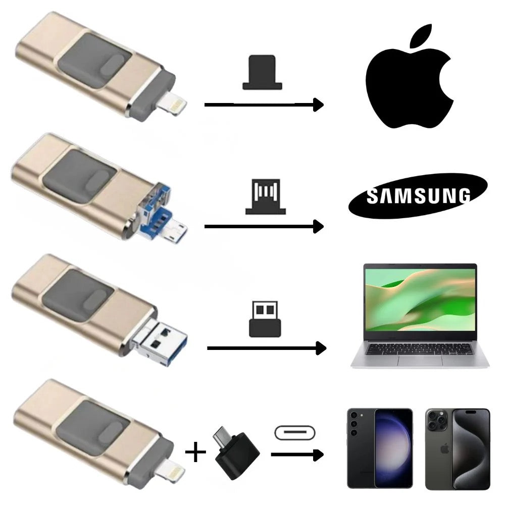 Professional Flash Drive