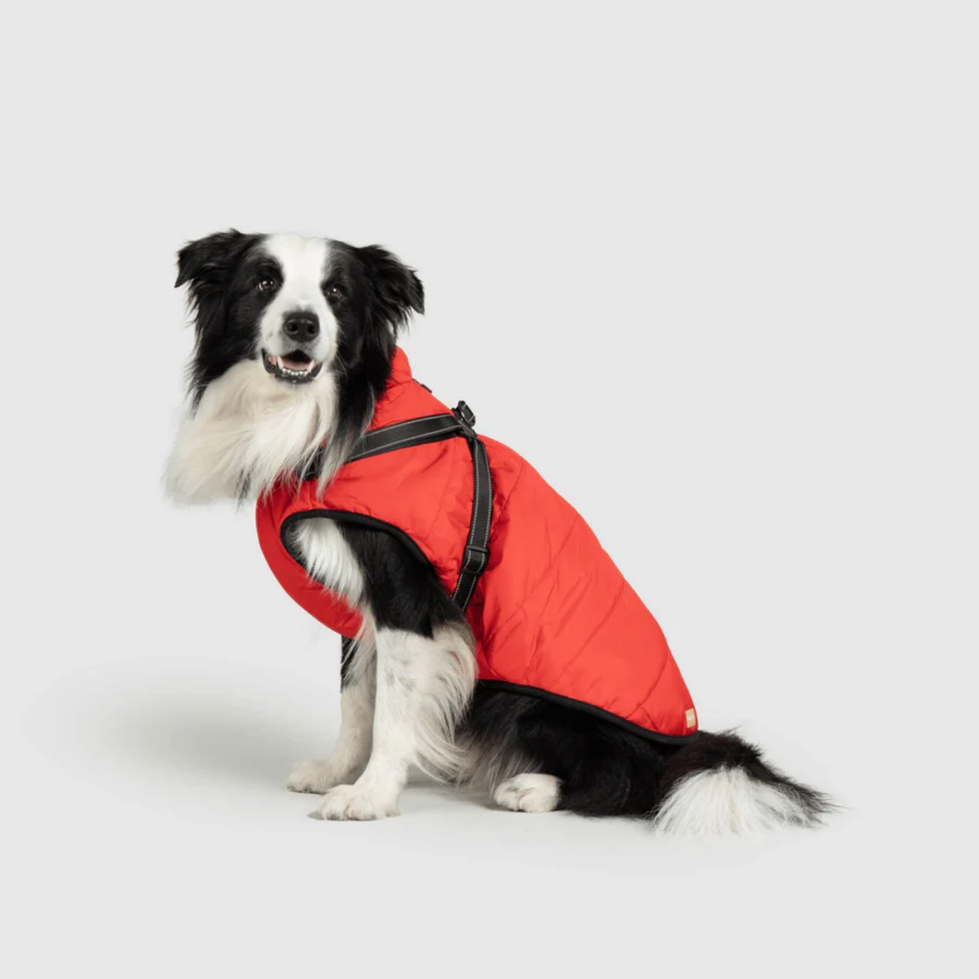 DoggyKings™ Dog Jacket with Harness - Waterproof & Warm (3-in-1 Design)