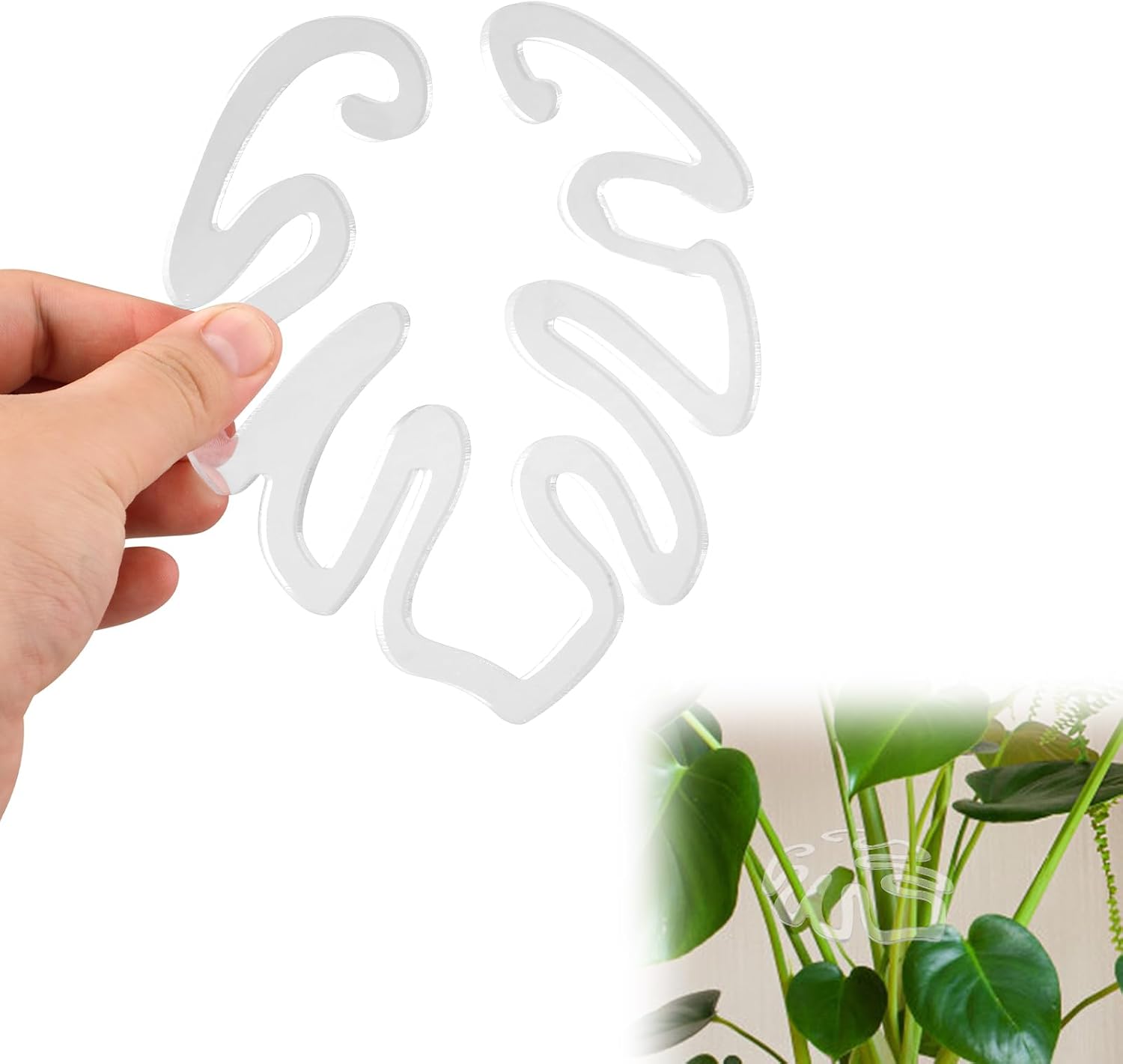 Transparent Acrylic Plant Trellis, Monstera Leaf Shape | Invisible Indoor Plant Support (Set of 5)