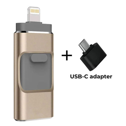 Professional Flash Drive