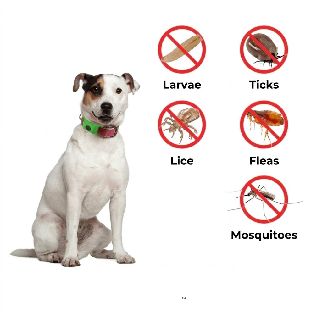 FurLife™ Flea and Tick Collar