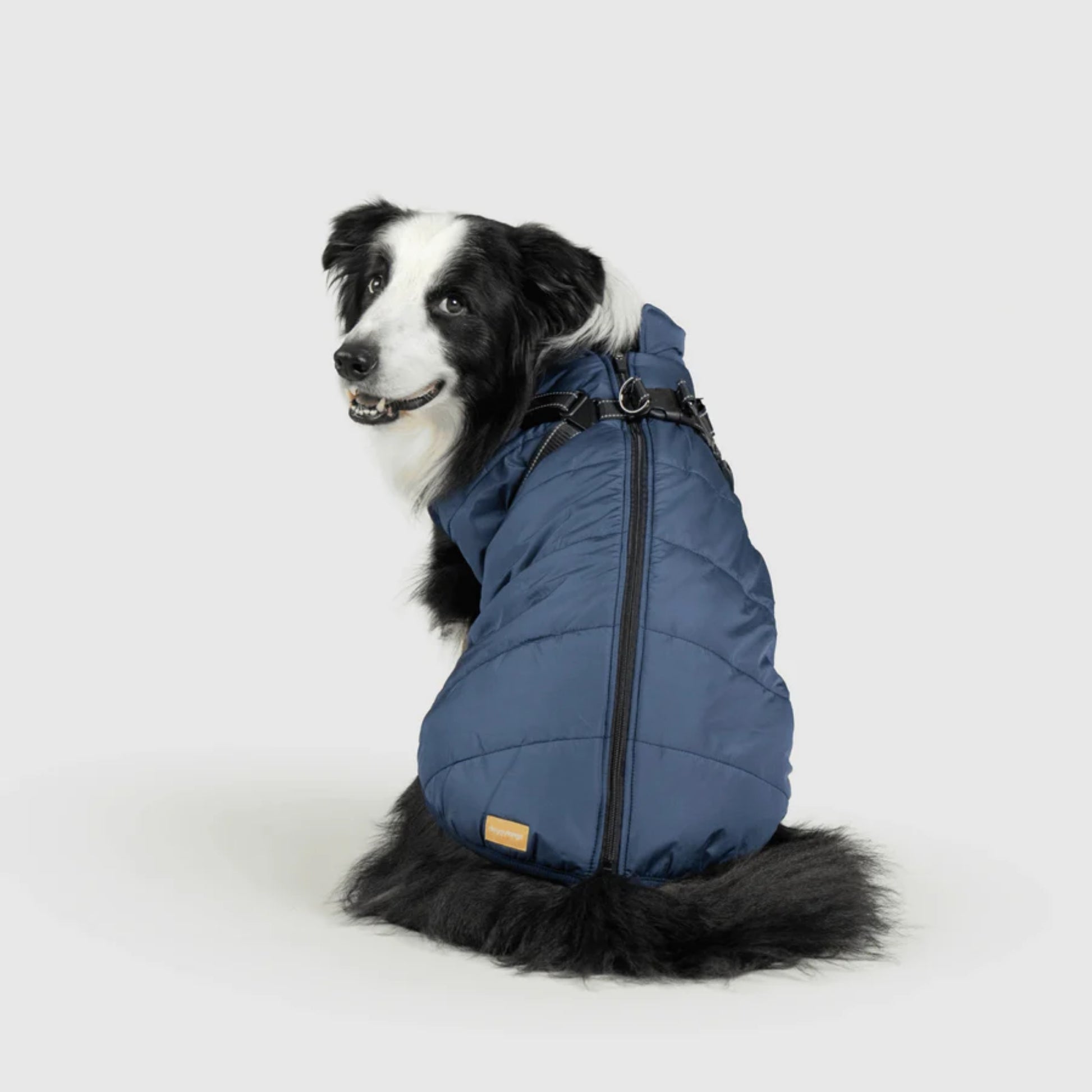 DoggyKings™ Dog Jacket with Harness - Waterproof & Warm (3-in-1 Design)