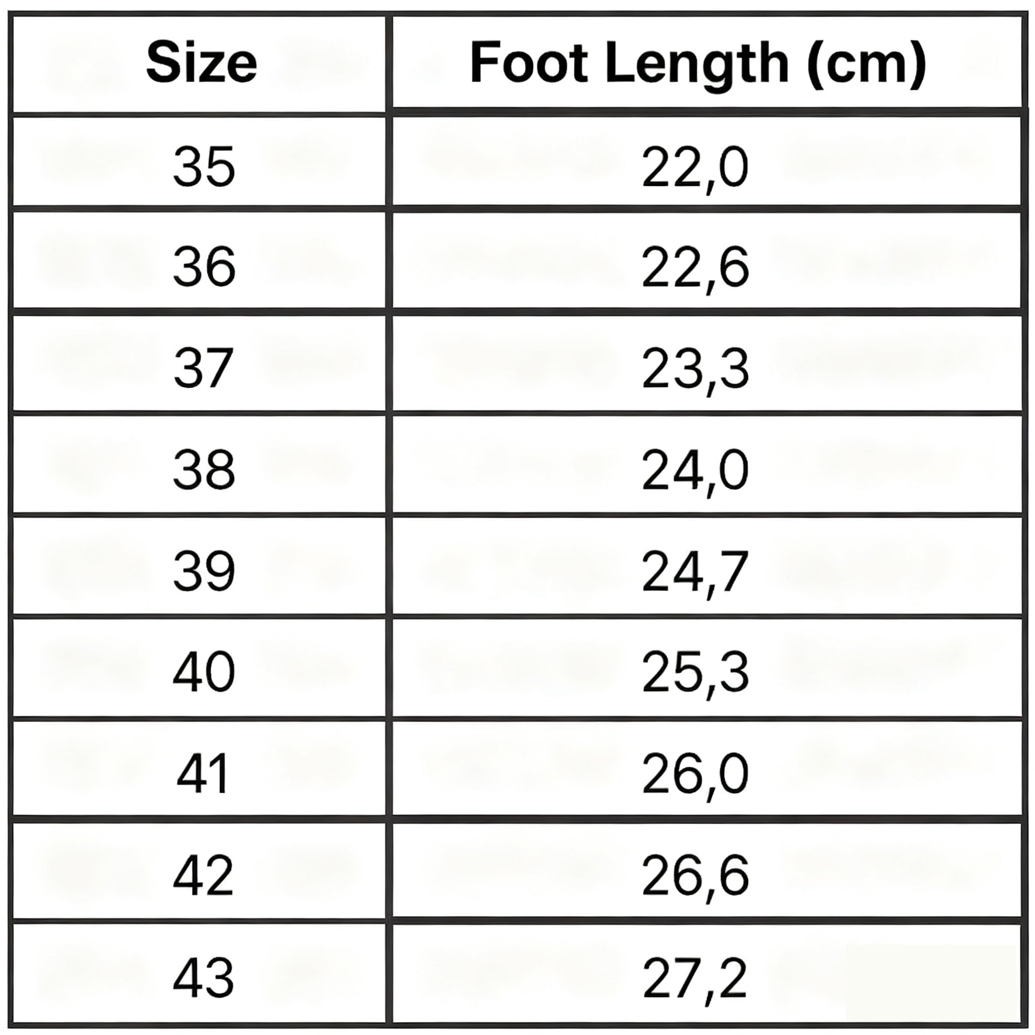 Winterstep – Anti-Slip Winter Shoes