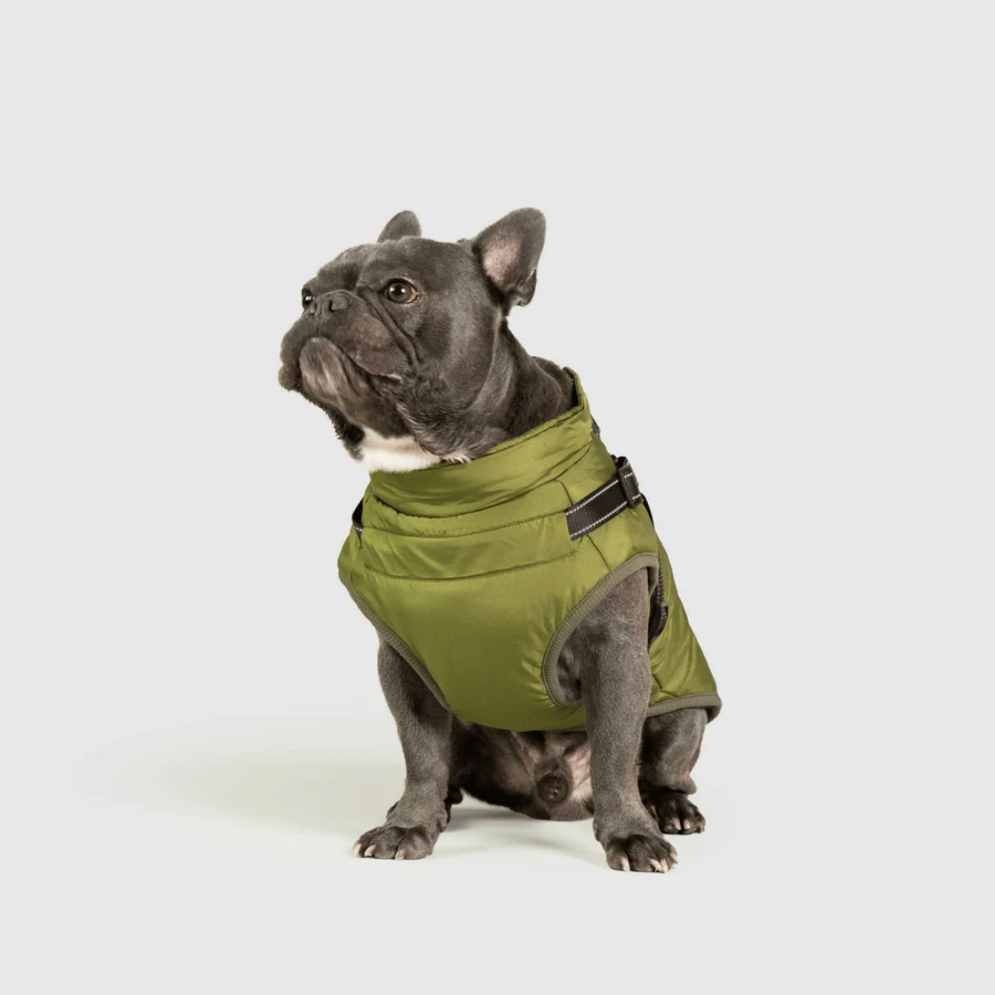 DoggyKings™ Dog Jacket with Harness - Waterproof & Warm (3-in-1 Design)