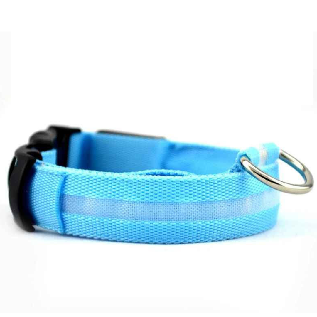 Rechargeable LED Dog Collar (via USB)