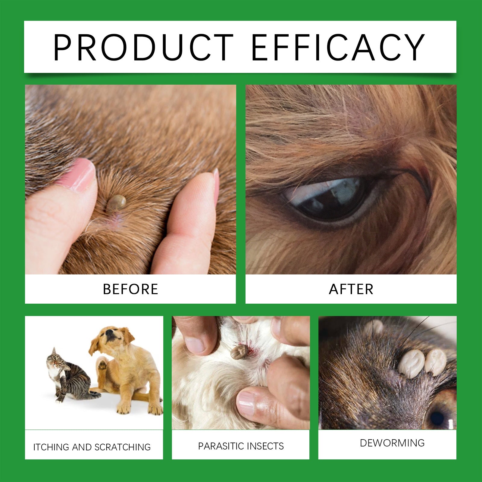 Natural Flea and Tick Protection Spray 🐱🐶