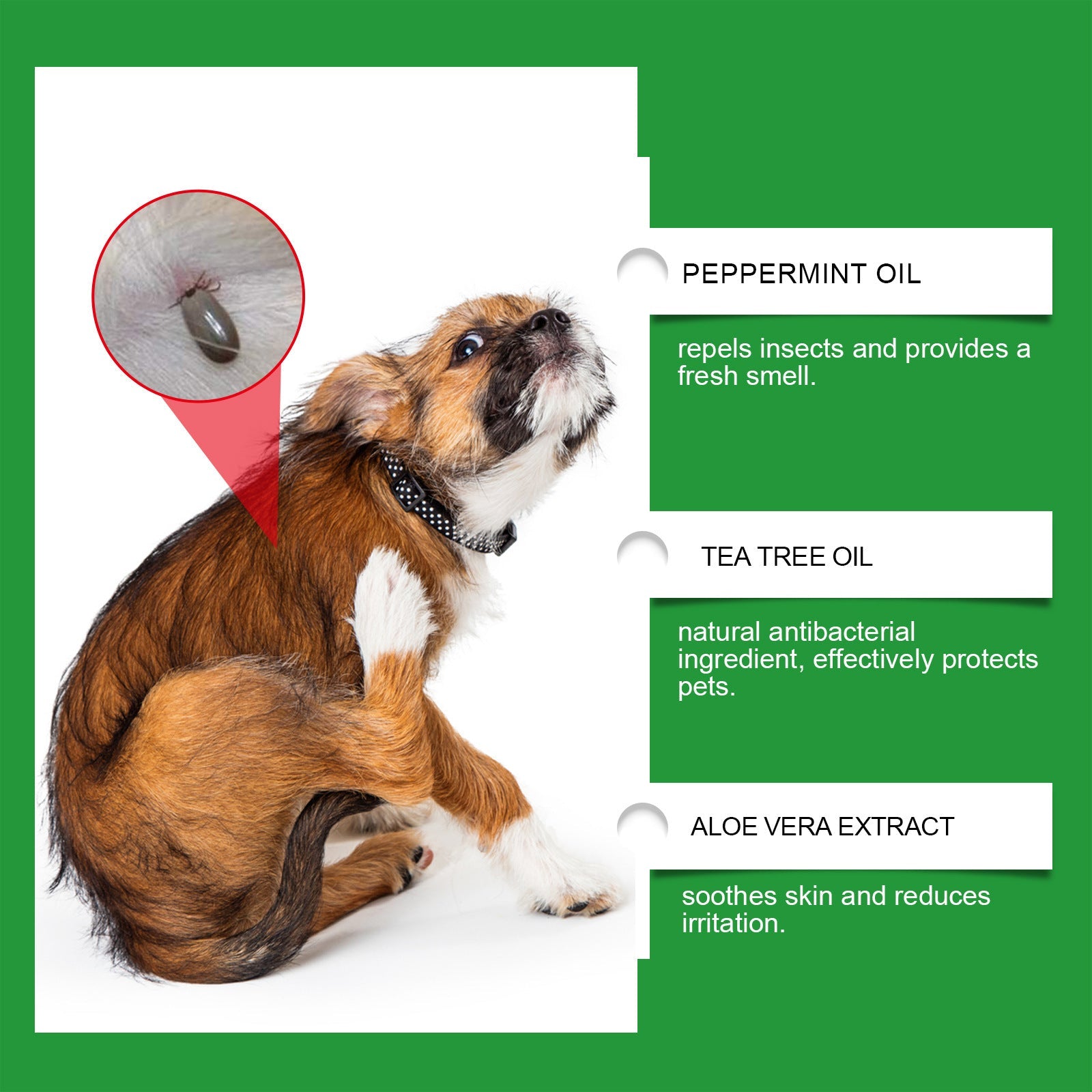 Natural Flea and Tick Protection Spray 🐱🐶
