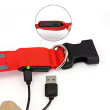 Rechargeable LED Dog Collar (via USB)