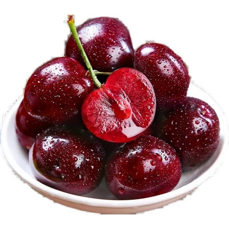 Sweet Cherry Seeds (50pcs - GMO-free)🌿(can be planted in winter)