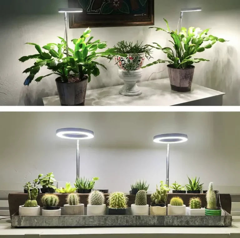 Full-Spectrum LED Grow Light