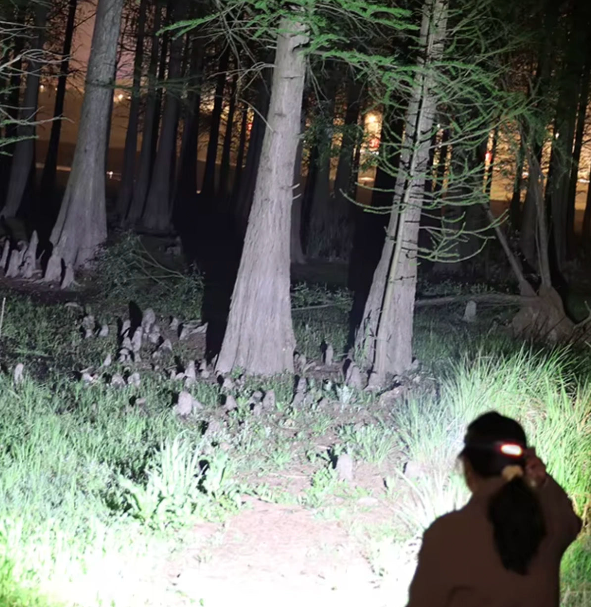 LedHead – Rechargeable LED Headlamp