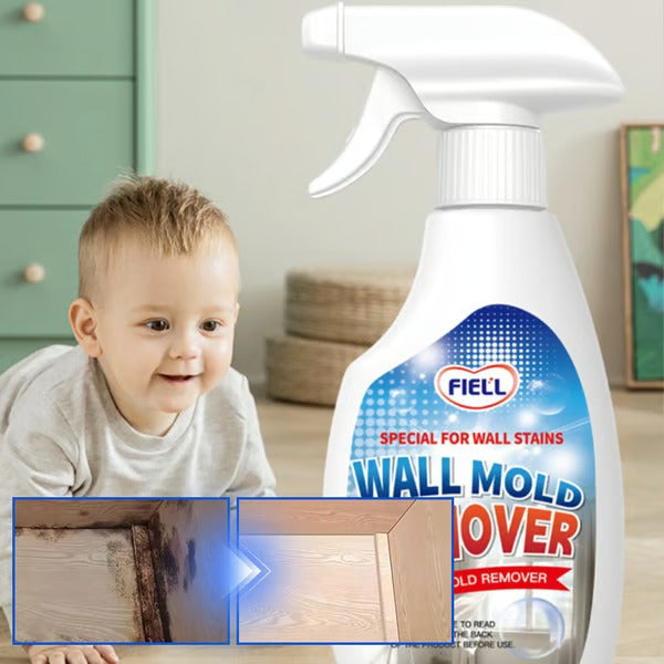 Powerful Mold Remover Spray (Immediate Results)