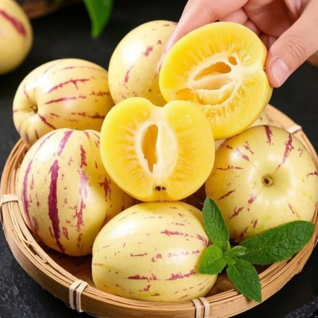 Pepino Melon Seed Mix (1000 pcs)