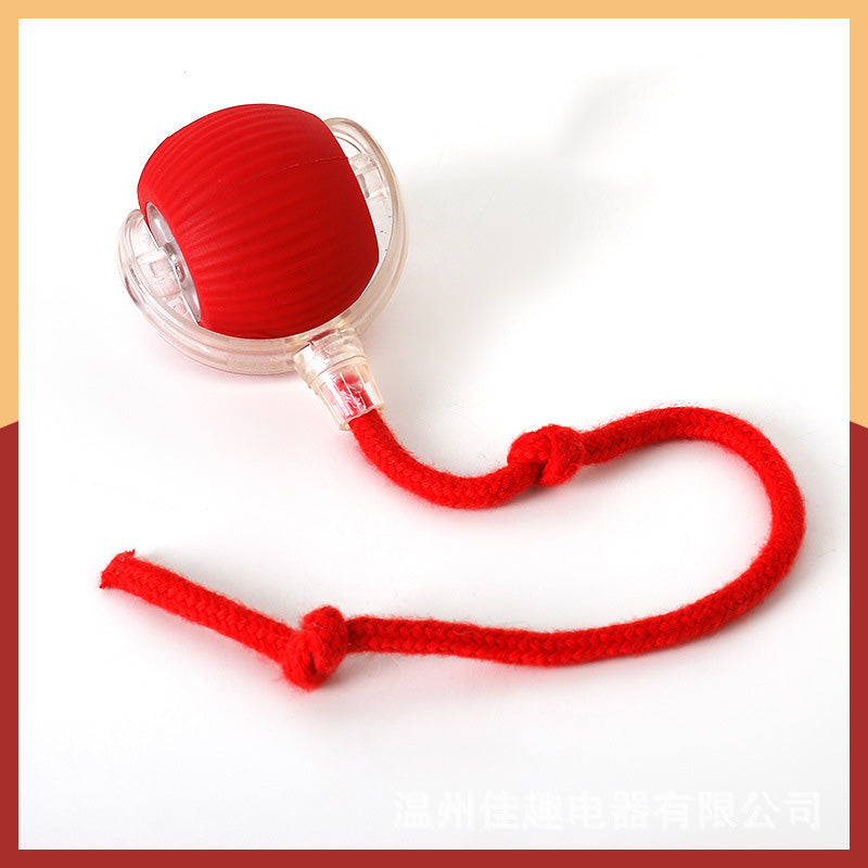 Smart Interactive Pet Play Ball