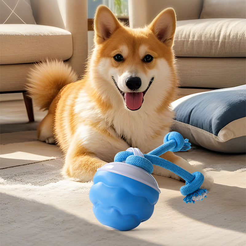 Smart Automatic Pet Play Ball
