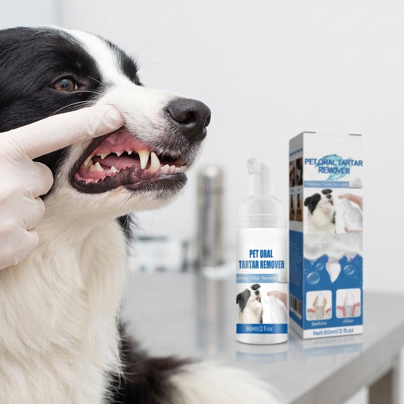 πΆπ± Tartar Remover Foam for Dogs