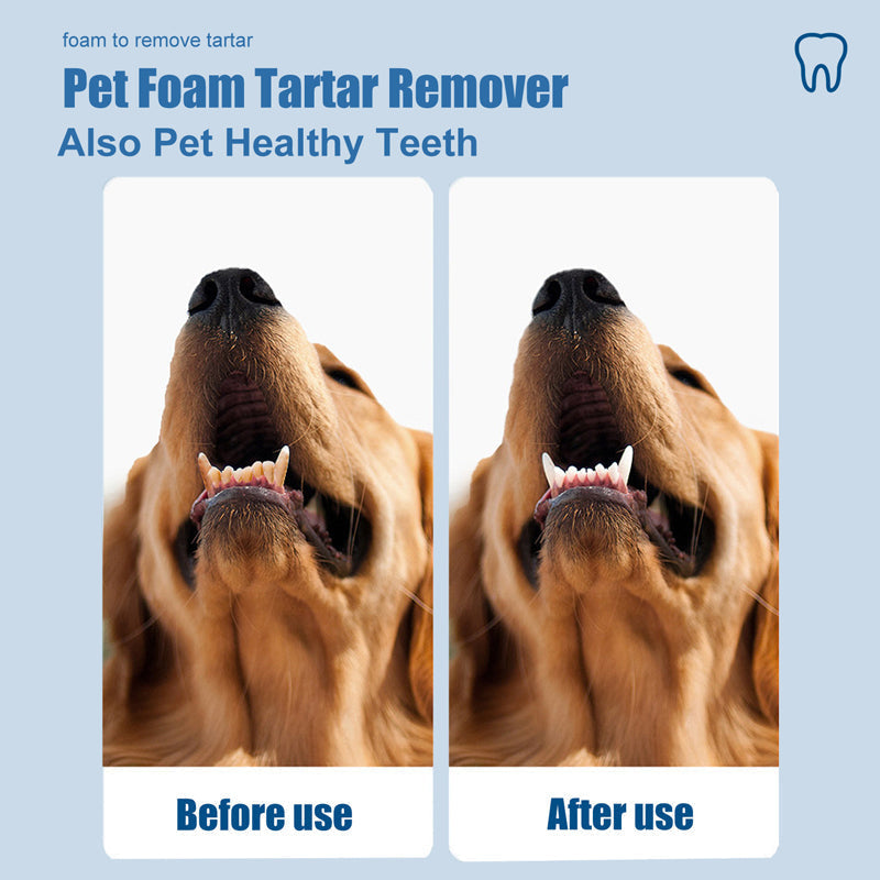 πΆπ± Tartar Remover Foam for Dogs