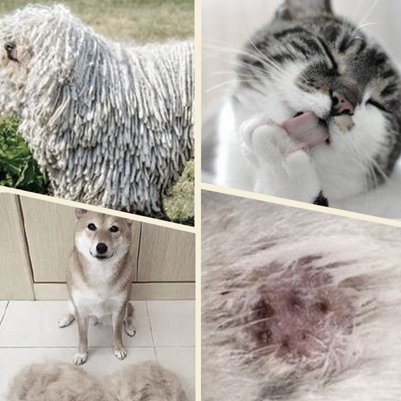 Double-Sided Pet Brush for Grooming