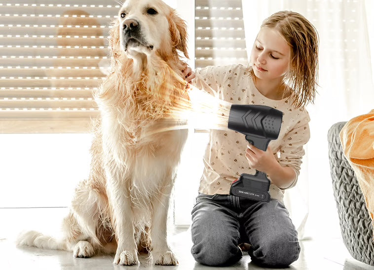 Cordless Powerful Blower