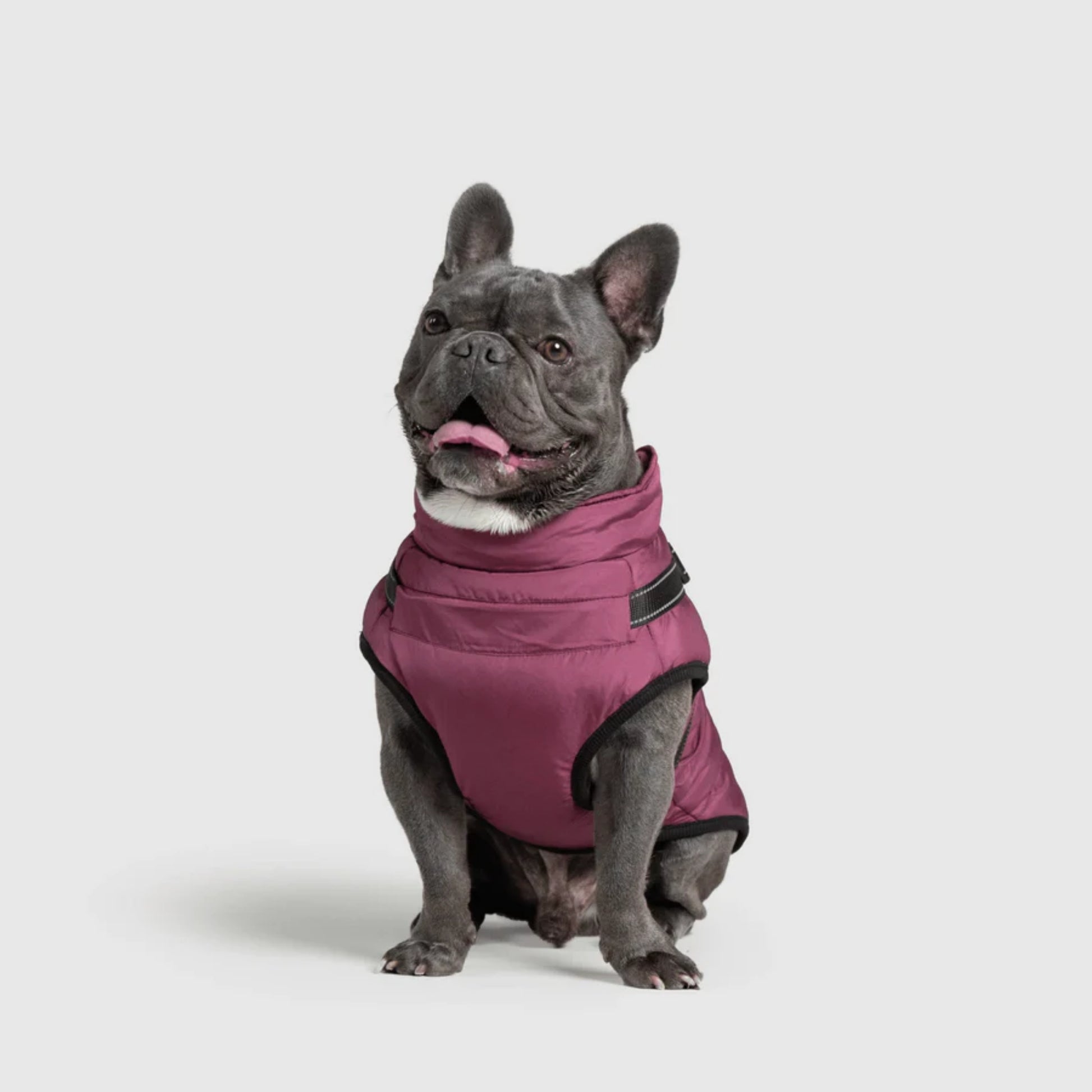 DoggyKings™ Dog Jacket with Harness - Waterproof & Warm (3-in-1 Design)