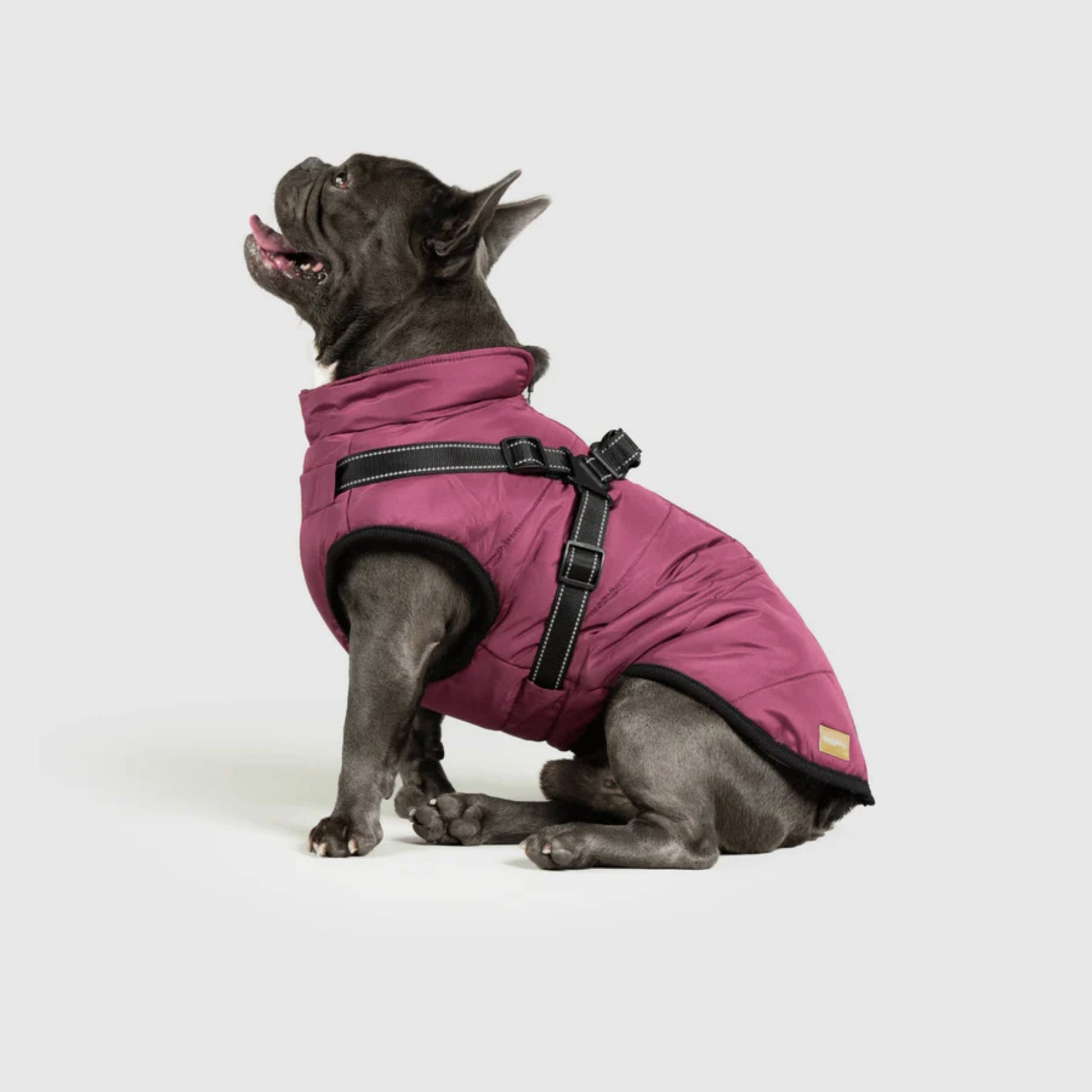 DoggyKings™ Dog Jacket with Harness - Waterproof & Warm (3-in-1 Design)
