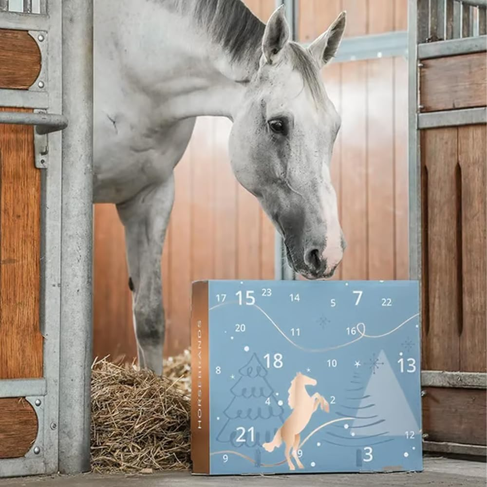 The Luxury Advent Calendar for Horse Lovers (2025)