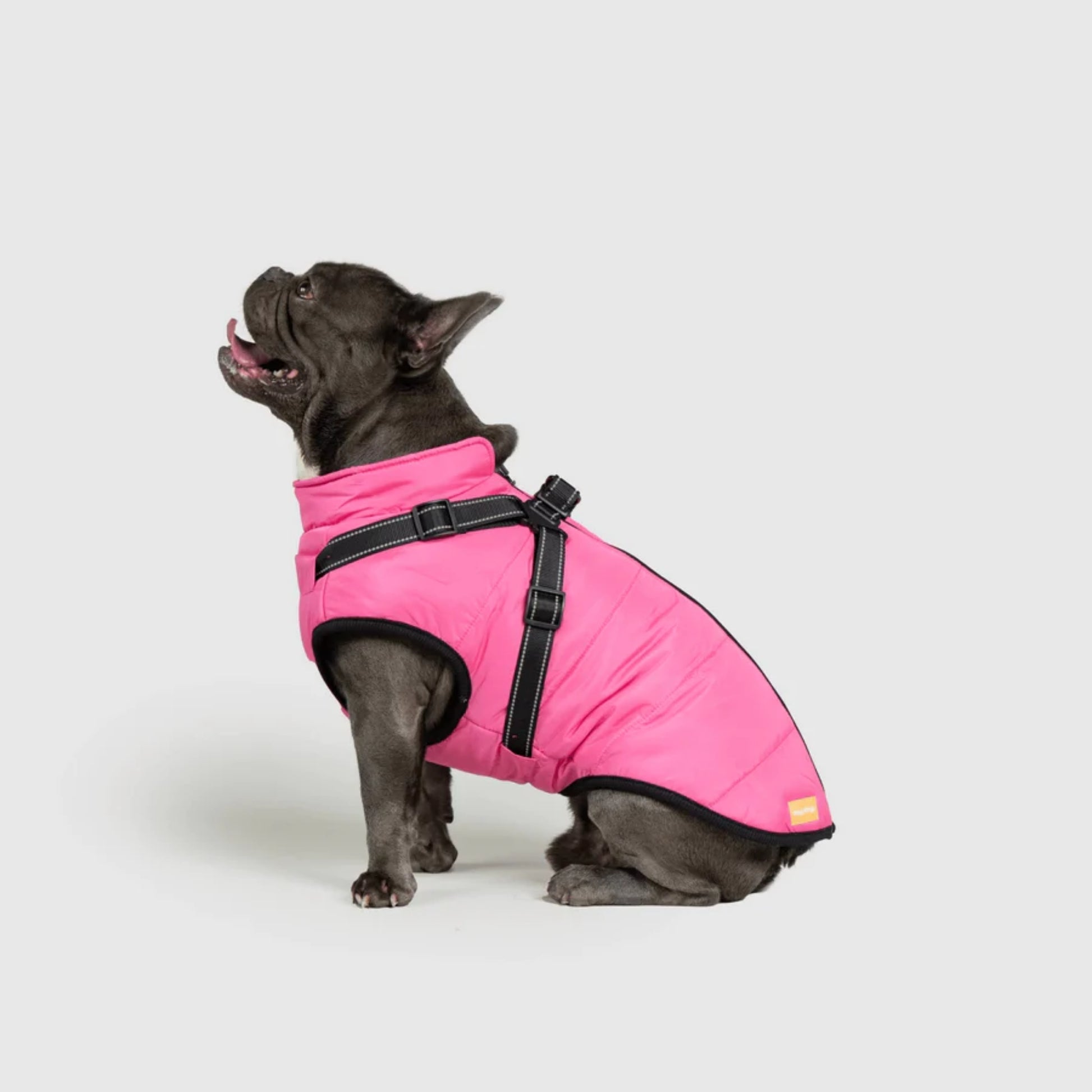 DoggyKings™ Dog Jacket with Harness - Waterproof & Warm (3-in-1 Design)