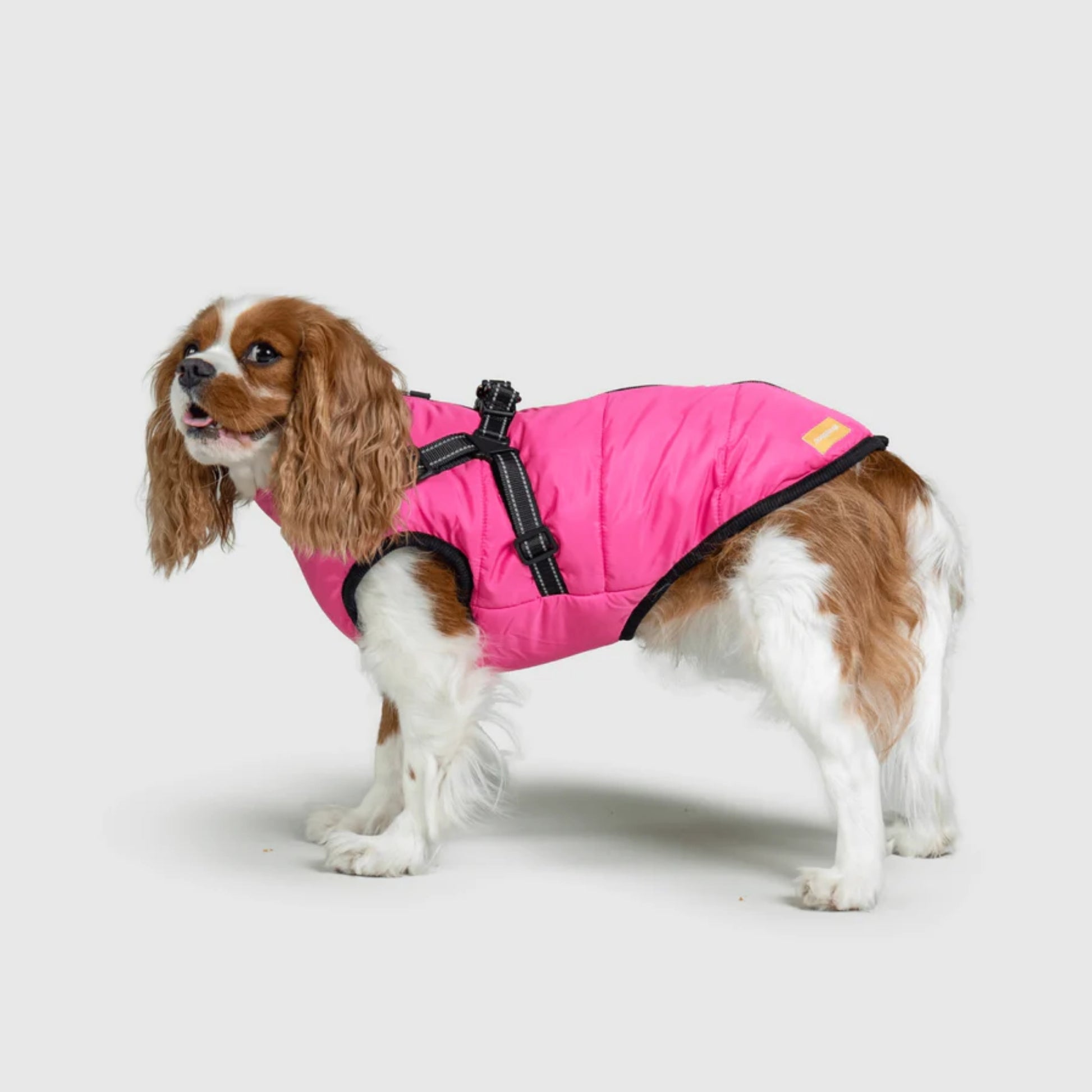 DoggyKings™ Dog Jacket with Harness - Waterproof & Warm (3-in-1 Design)