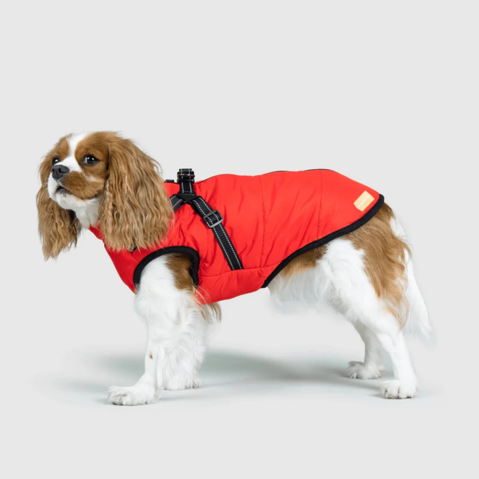 DoggyKings™ Dog Jacket with Harness - Waterproof & Warm (3-in-1 Design)