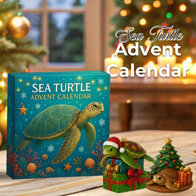 Turtle Advent Calendar 2025