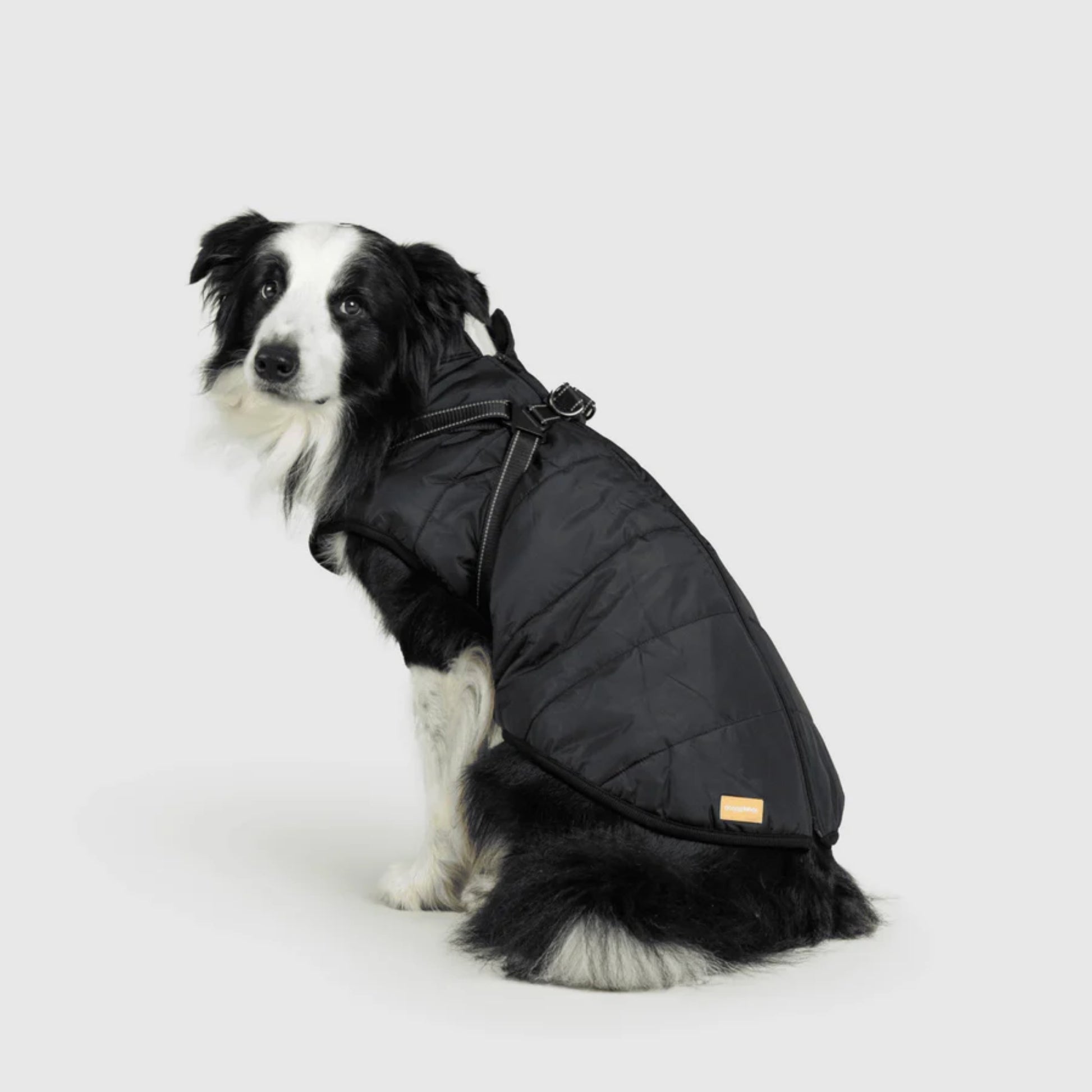 DoggyKings™ Dog Jacket with Harness - Waterproof & Warm (3-in-1 Design)