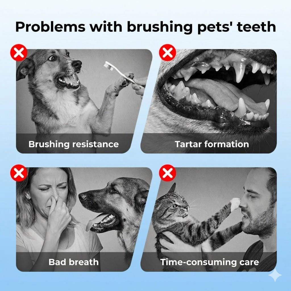 Pet Dental Care Spray