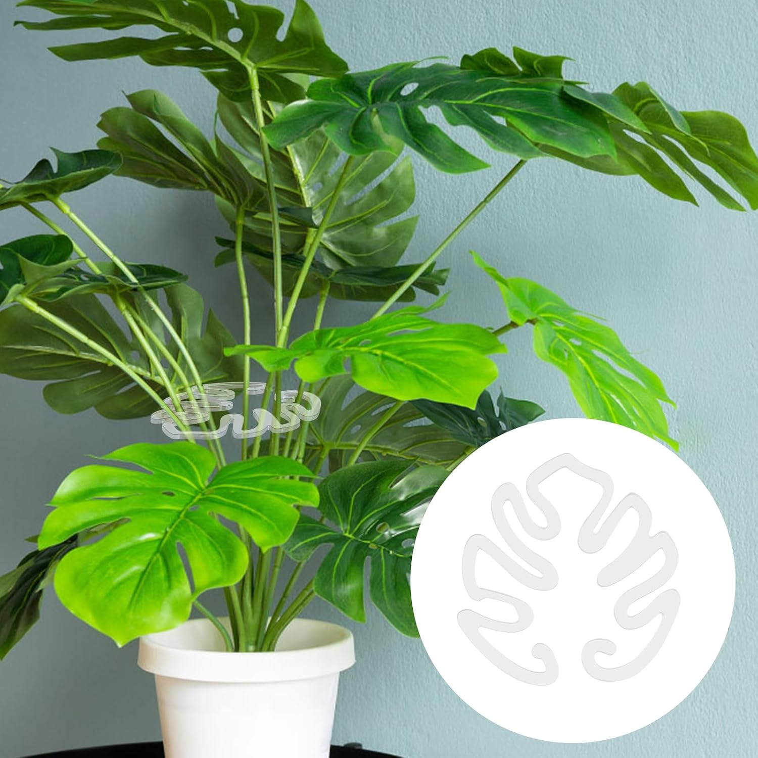 Transparent Acrylic Plant Trellis, Monstera Leaf Shape | Invisible Indoor Plant Support (Set of 5)