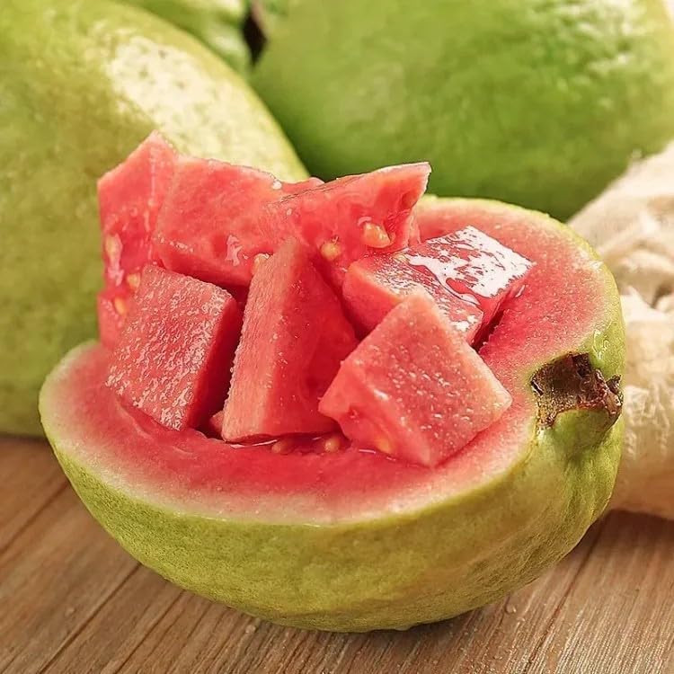 Organic Pink Guava Seeds - 60 Pieces