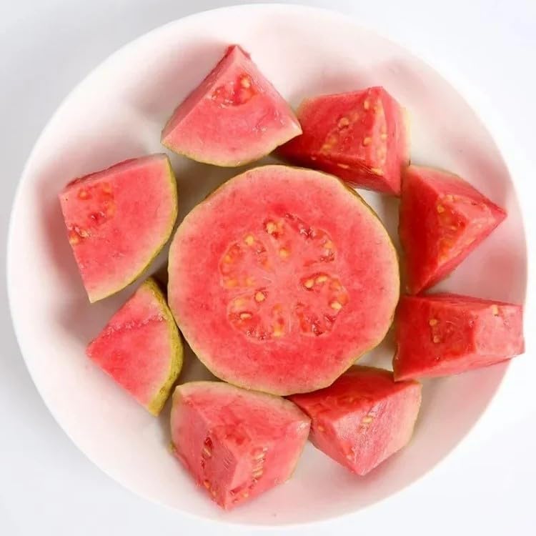 Organic Pink Guava Seeds - 60 Pieces