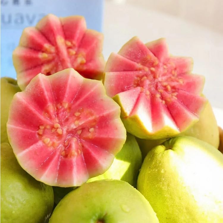 Organic Pink Guava Seeds - 60 Pieces