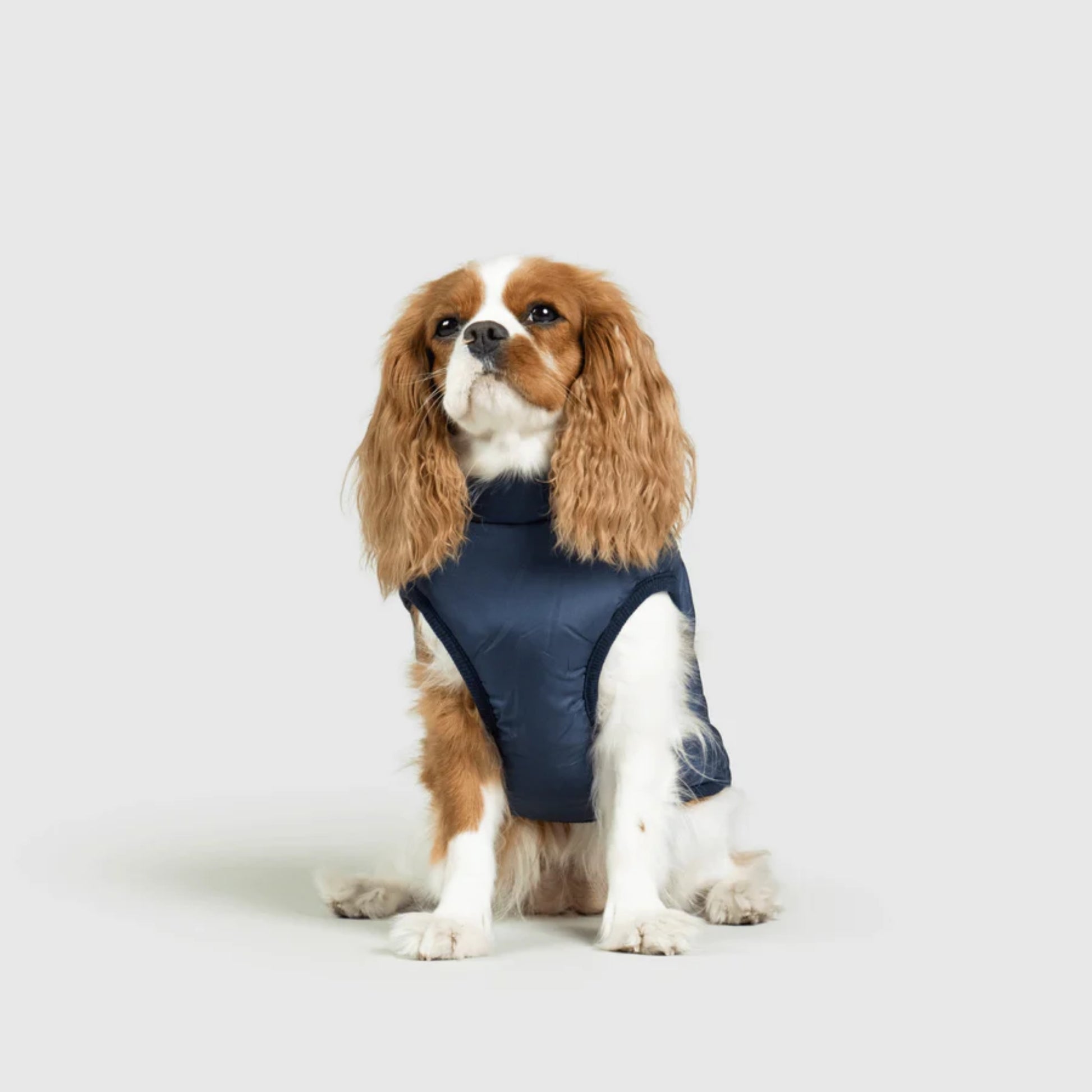 DoggyKings™ Dog Jacket with Harness - Waterproof & Warm (3-in-1 Design)