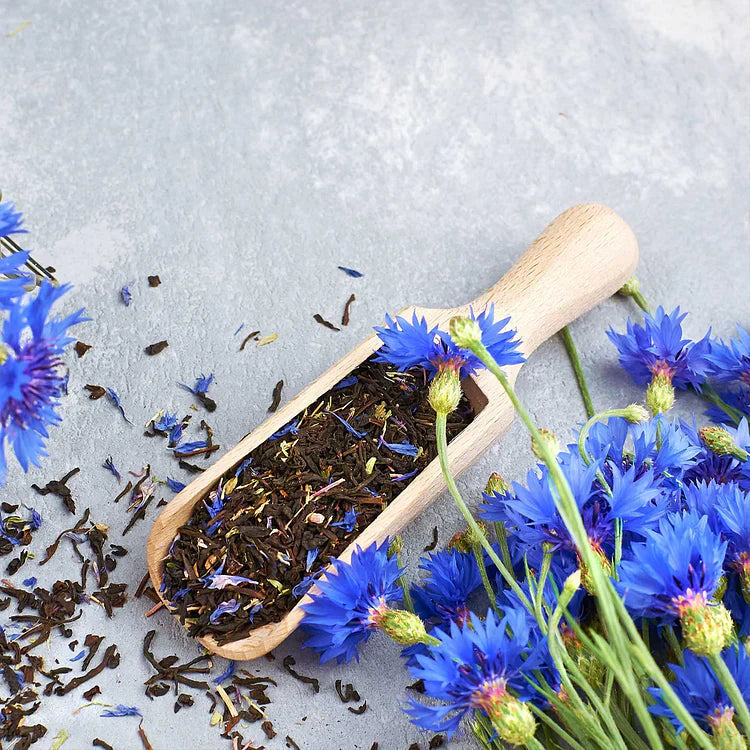 Cornflower Seed Mix (1000 pcs)